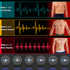 Image of Electric AB Belt - Abs Muscle Stimulator