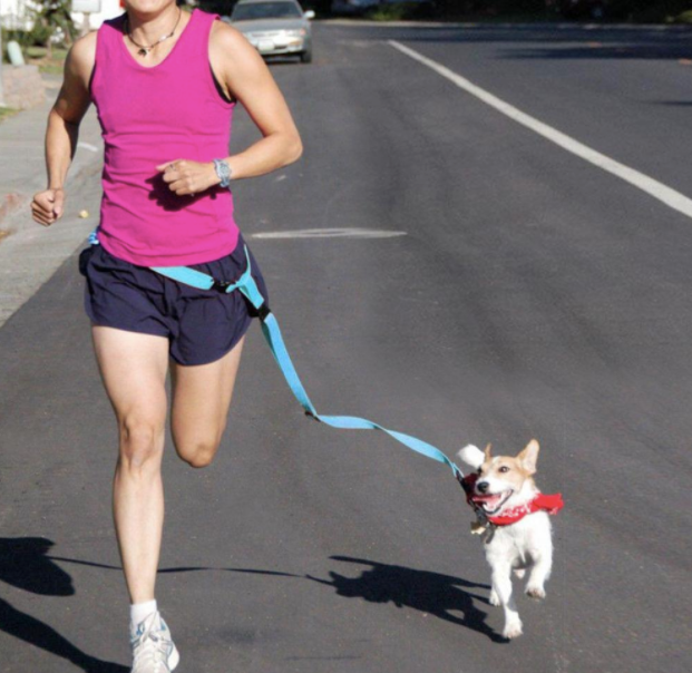 Dog Running Belt - Dog Running Leash
