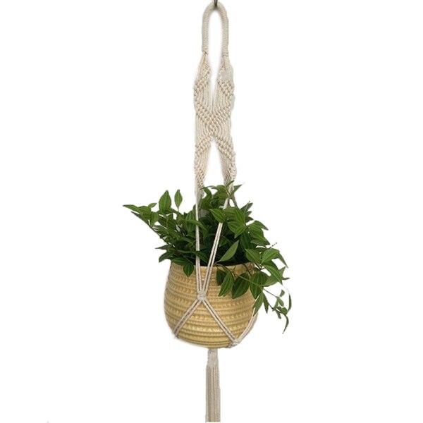 Hanging Basket Plants - Hanging Basket Flowers - Hanging Pots