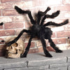 Image of 75cm Big Spider For Halloween Decoration Super Plush & Made of Wire Party Ideas