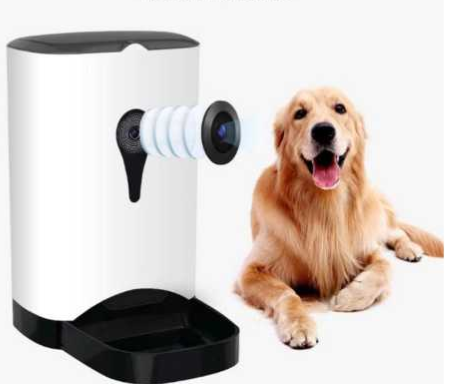Dog Treat Camera
