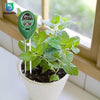 Image of Soil Moisture Meter For Plants