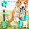 Image of Suction Cup Dog Toy Toothbrush For Puppy